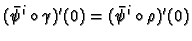 $\displaystyle (\bar\psi^i\circ\gamma)'(0) = (\bar\psi^i\circ\rho)'(0)
$